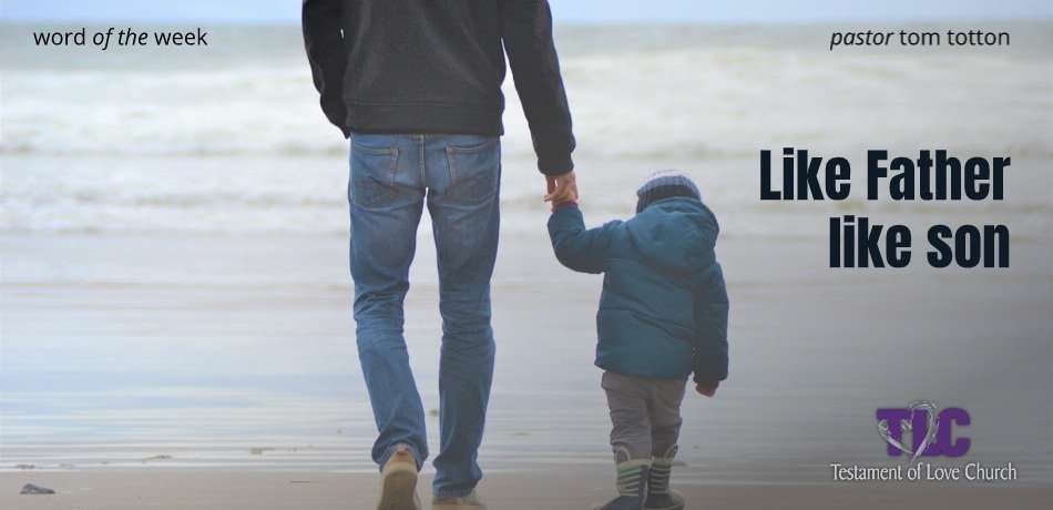 Like Father Like Son