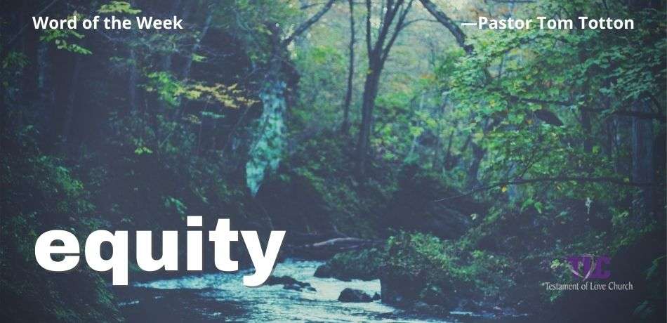 Equity